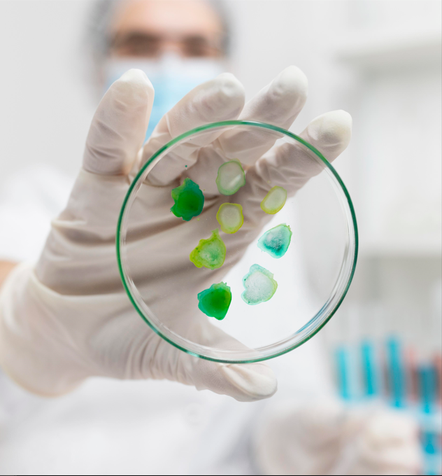 Microbiologia I - Bacteriologia