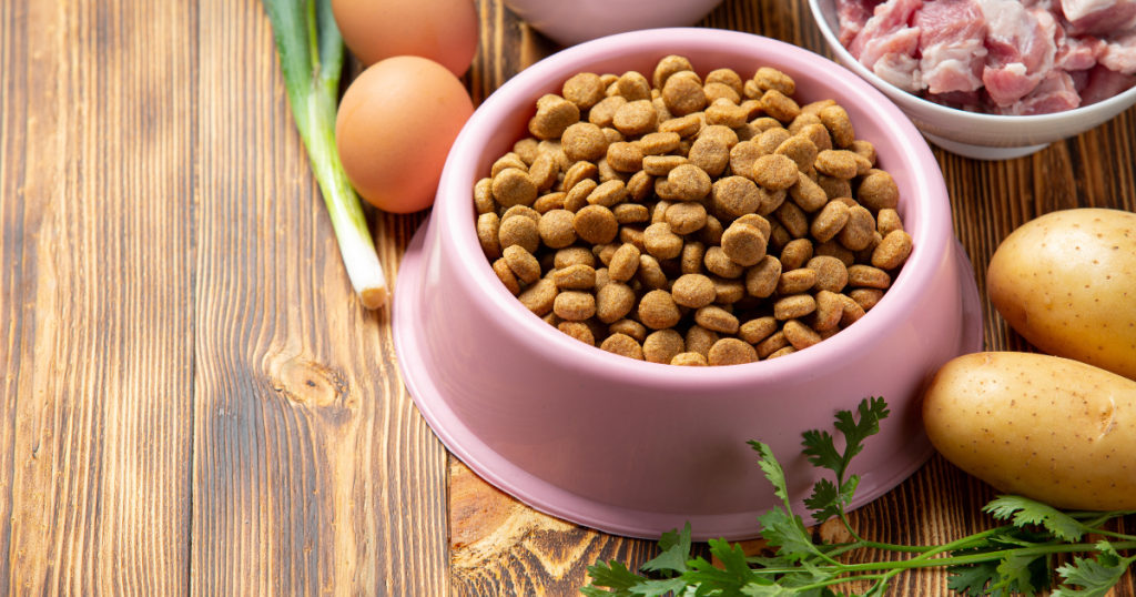 Básico de Alimentação para Pet